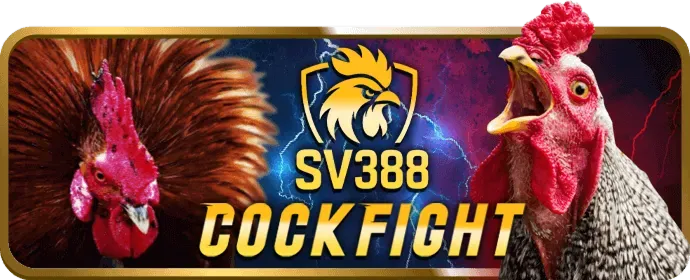 Bước 2: Cài Đặt Hồ Sơ Cấu Hình